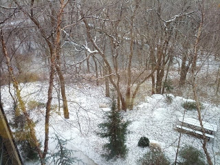 First snow of the year Kansas